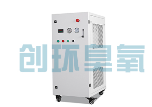 延安石斑鱼养殖水质调控完整指南:臭氧发生器配置与操作步骤