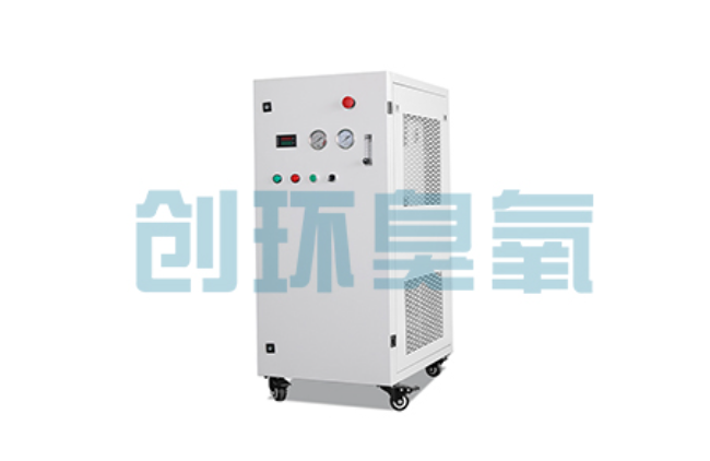 延安比传统换水更高效?臭氧发生器在石斑鱼养殖中的水质净化原理解析