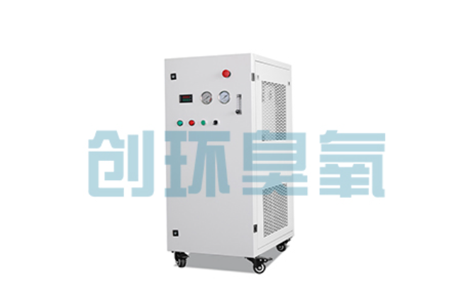 延安比传统换水更高效?臭氧发生器在石斑鱼养殖中的水质净化原理解析
